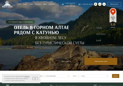 Снимок главной страницы altay-terrassa.ru