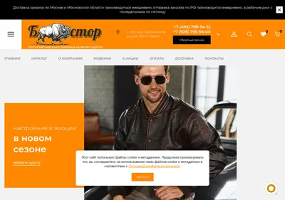 Снимок главной страницы bisonstore.ru