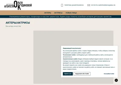 Снимок главной страницы agencyok.ru
