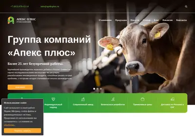 Снимок главной страницы apeksplus.ru