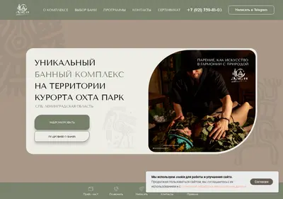 Снимок главной страницы banya-dzen.ru