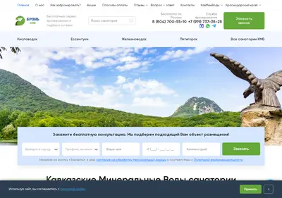 Снимок главной страницы bronkmv.ru