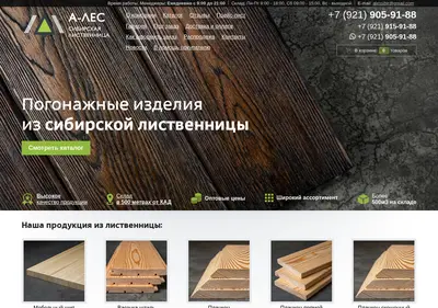 Снимок главной страницы ales-spb.ru