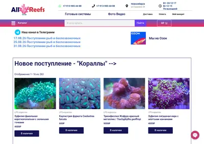 Снимок главной страницы allreefs.ru