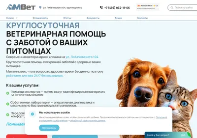 Снимок главной страницы amvet.ru