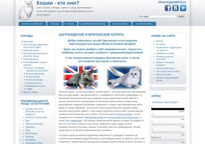 Снимок главной страницы cats-british.ru