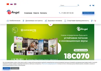 Снимок главной страницы angelyeast.ru