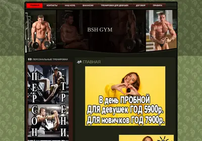Снимок главной страницы bshgym.ru