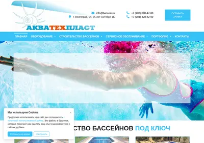 Снимок главной страницы baccein.ru