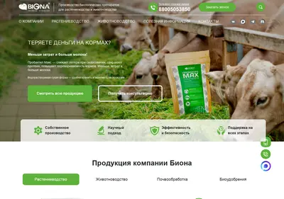Снимок главной страницы bionagroup.ru
