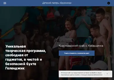 Снимок главной страницы btlcamp.ru