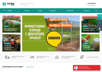 Снимок главной страницы 8sotokshop.ru
