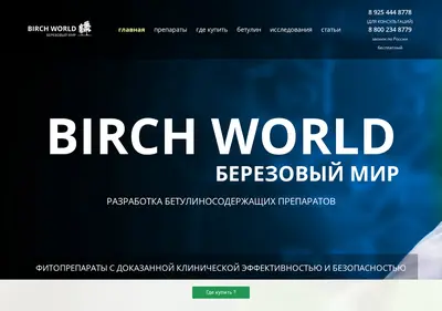 Снимок главной страницы birchworld.ru