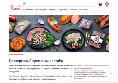 Снимок главной страницы adept.ru