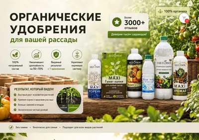 Снимок главной страницы 5-sezonov.ru