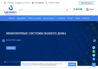 Снимок главной страницы ademika.ru