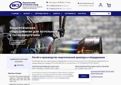 Снимок главной страницы bkzn.ru