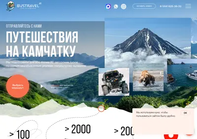 Снимок главной страницы bustravel41.ru