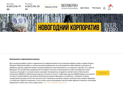 Снимок главной страницы beerberry-ufa.ru