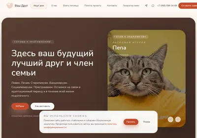 Снимок главной страницы caspercat.ru