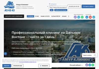 Снимок главной страницы amur-klining.ru