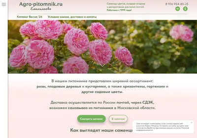 Снимок главной страницы agro-pitomnik.ru
