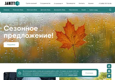 Снимок главной страницы janett.su