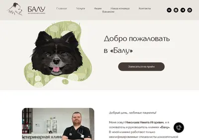 Снимок главной страницы baluvetspb.ru