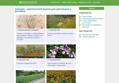 Снимок главной страницы amandine.ru