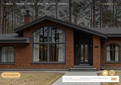 Снимок главной страницы albion-lite.ru