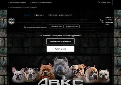 Снимок главной страницы abkcrussia.ru