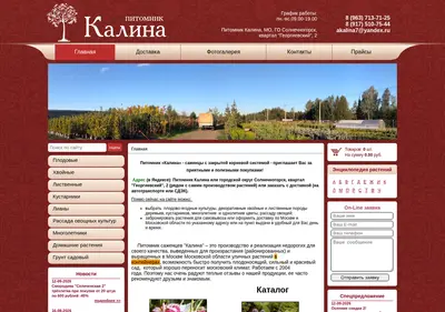 Снимок главной страницы akalina.ru
