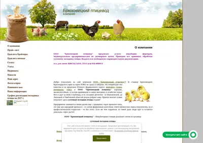 Снимок главной страницы bruptica.ru
