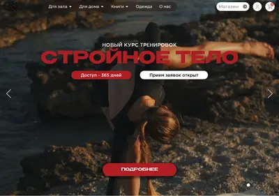 Снимок главной страницы 22x22pro.ru