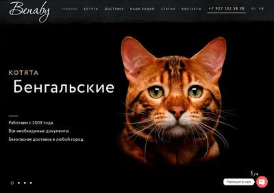 Снимок главной страницы benaby.ru