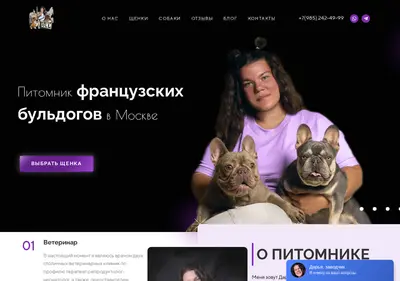 Снимок главной страницы bulkamsk.ru