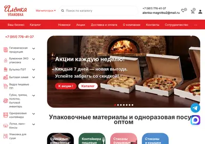 Снимок главной страницы alenkapak.ru