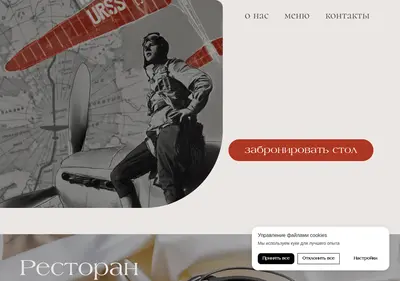 Снимок главной страницы chkalov38.ru