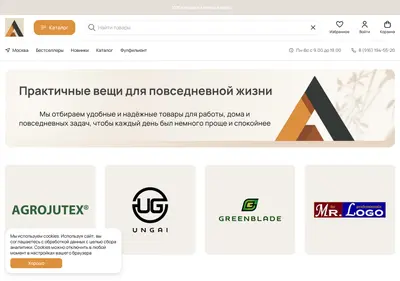 Снимок главной страницы all-in-store.ru