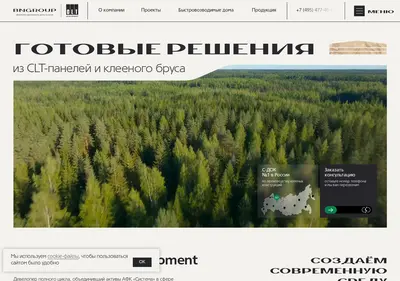 Снимок главной страницы bngroup.ru