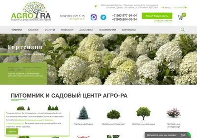 Снимок главной страницы agro-ra.ru
