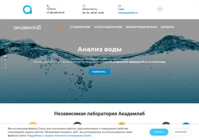 Снимок главной страницы academlab.ru