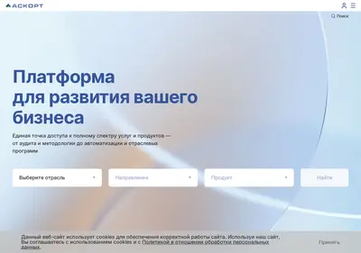 Снимок главной страницы audit-escort.ru