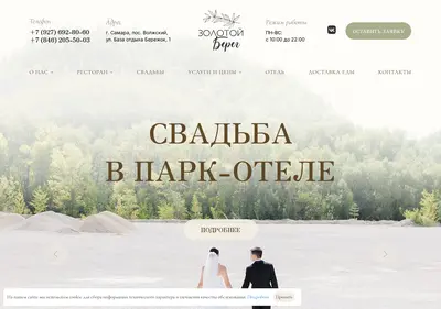 Снимок главной страницы berezhok-63.ru