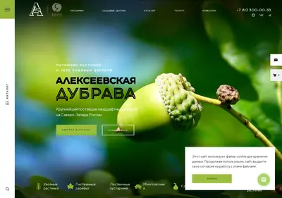 Снимок главной страницы a-dubrava.ru