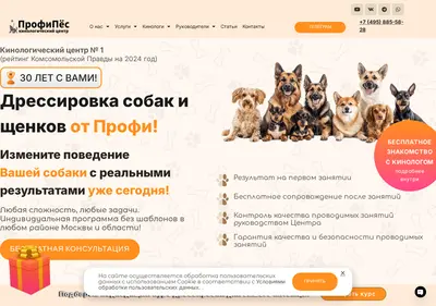 Снимок главной страницы centr-profipes.ru