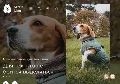 Снимок главной страницы arcticlion.ru