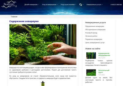 Снимок главной страницы biotopimage.ru