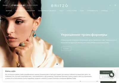 Снимок главной страницы britzo.ru