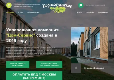 Снимок главной страницы bg-servis.ru